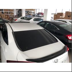 Civic FC5 Smoke Arka Cam Ledi