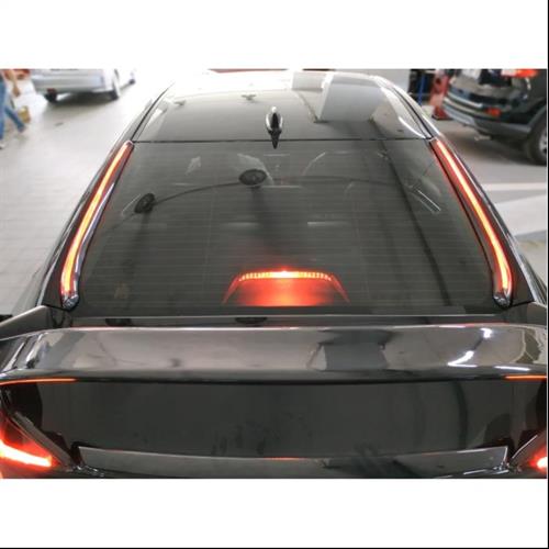 Civic FC5 Smoke Arka Cam Ledi