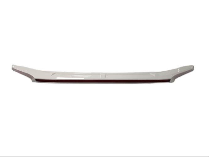 Civic FC5 Led Spoiler
